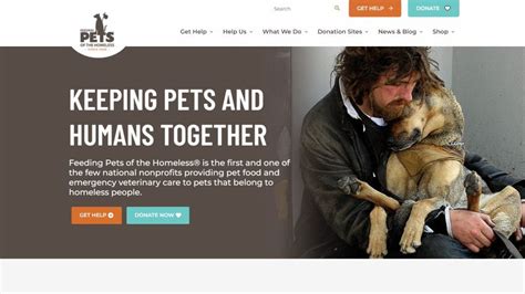 15 amazing organizations that help with vet bills .